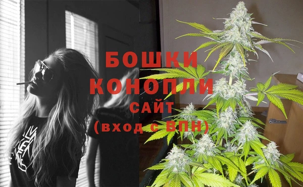 ECSTASY Новозыбков