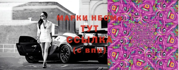 ECSTASY Новозыбков