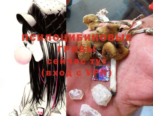 ECSTASY Новозыбков