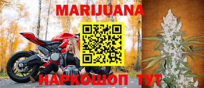 мдпв Гатчина