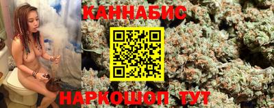 мдпв Гатчина