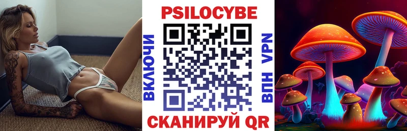 Галлюциногенные грибы Cubensis  где купить наркотик  Переславль-Залесский 
