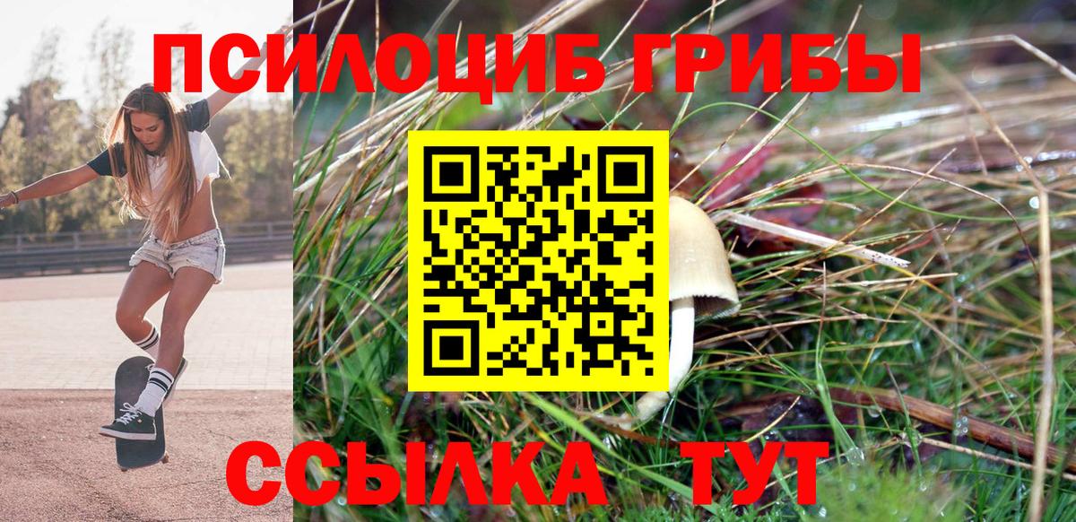 Галлюциногенные грибы Psilocybe  Галлюциногенные грибы Cubensis  Переславль-Залесский  Вход с VPN 