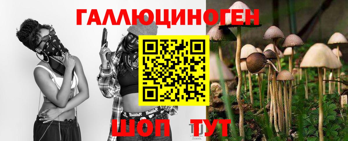 Галлюциногенные грибы Psilocybine cubensis Переславль-Залесский