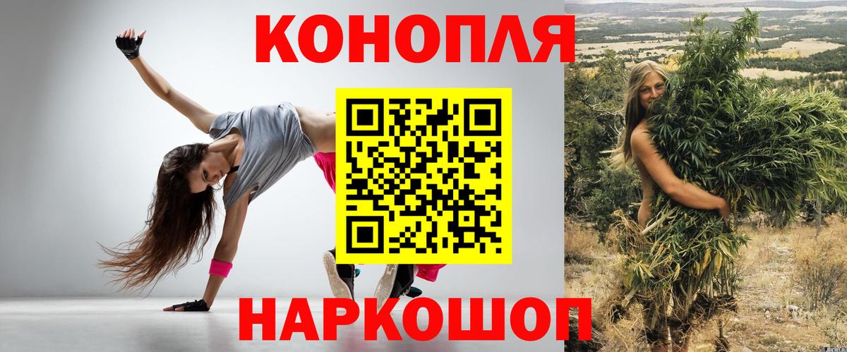 Конопля сатива Переславль-Залесский